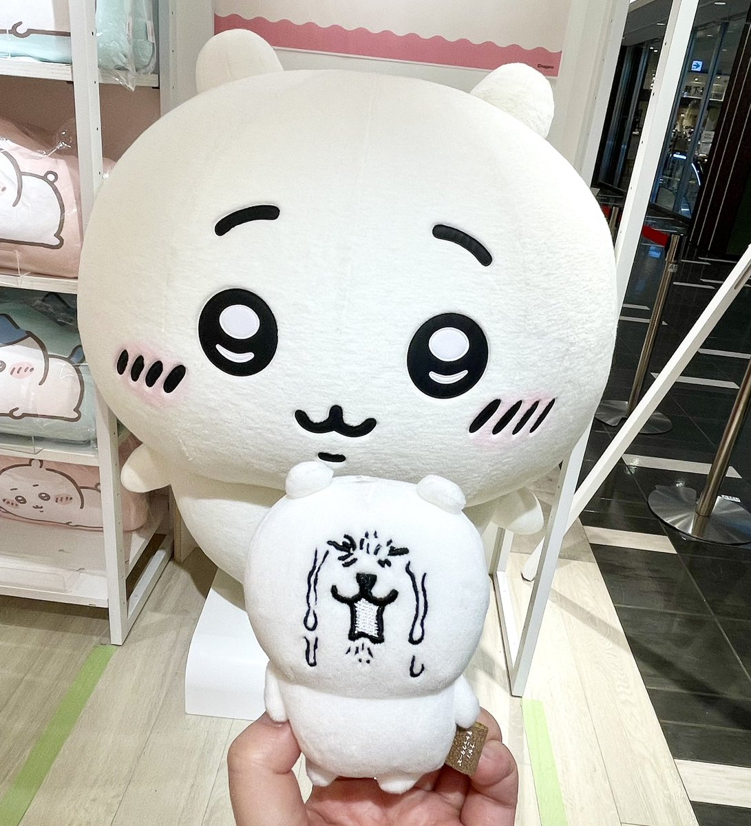 hehr1109's tweet photo. ポップアップショップで散財
#ちい活 https://t.co/oozkW1TJzg