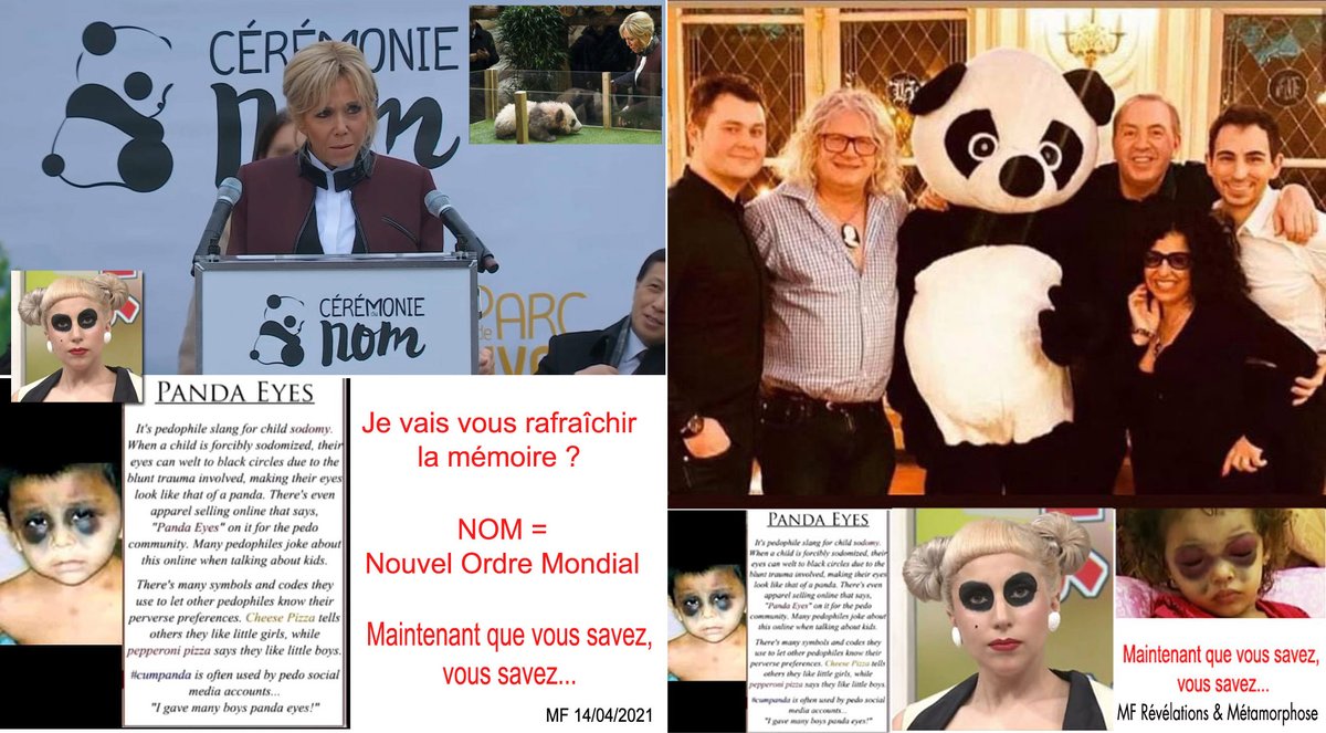 MF_Rev_Met's tweet photo. Pour ceux qui n'auraient pas compris pourquoi Xi a offert deux bébés Pandas à Donald, qui les met sous protection de sa maison. Sauvez les enfants.https://t.co/I6YktNEfJT https://t.co/BqKRm7nJoU