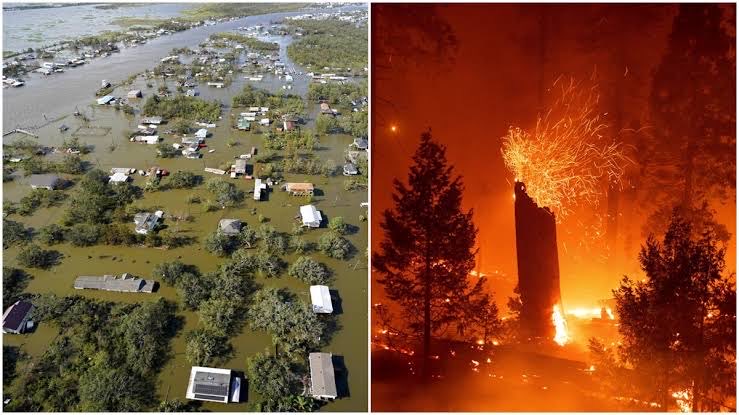 Eco365SI's tweet photo. Climate Change is brutal…!
Our honesty must be brutal.
Our urgency must be brutal.
Our determination must be brutal.
Our commitment must be relentless.
We cannot respond to a planetary emergency with half-measures.
The moment demands everything we have.
#ClimateActionNow https://t.co/n8bftYoRWX