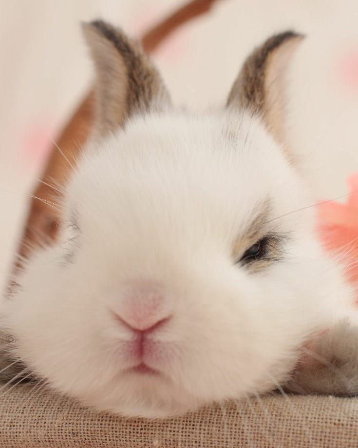 bojogael's tweet photo. Ი  𐑼
(ｰ̀ ⤙ｰ́) I see no difference https://t.co/tZuVh0iL2z