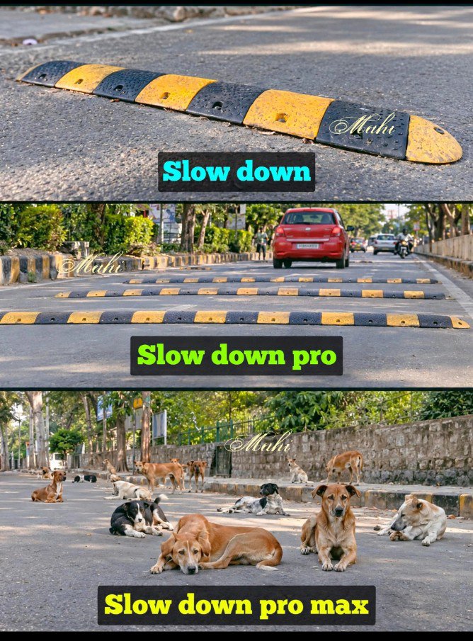 mahicbe's tweet photo. This speed breaker - eco-friendly and 100% effective! 😎 No one dares to overspeed here 😂 Final boss of all speed breakers!! 🐕 https://t.co/uDrCeKSHb0