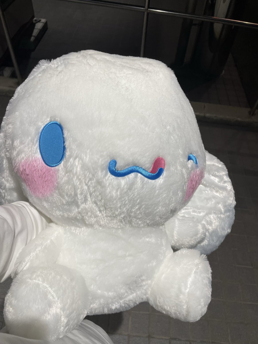 moncha827's tweet photo. 落ち着きがない大人なので買い物ついでにふらっと遊んでました🧎 https://t.co/TzhxWVIkDG