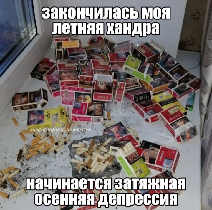 zkksitt's tweet photo. блчч ищу мьюшек https://t.co/xiU7s7grow