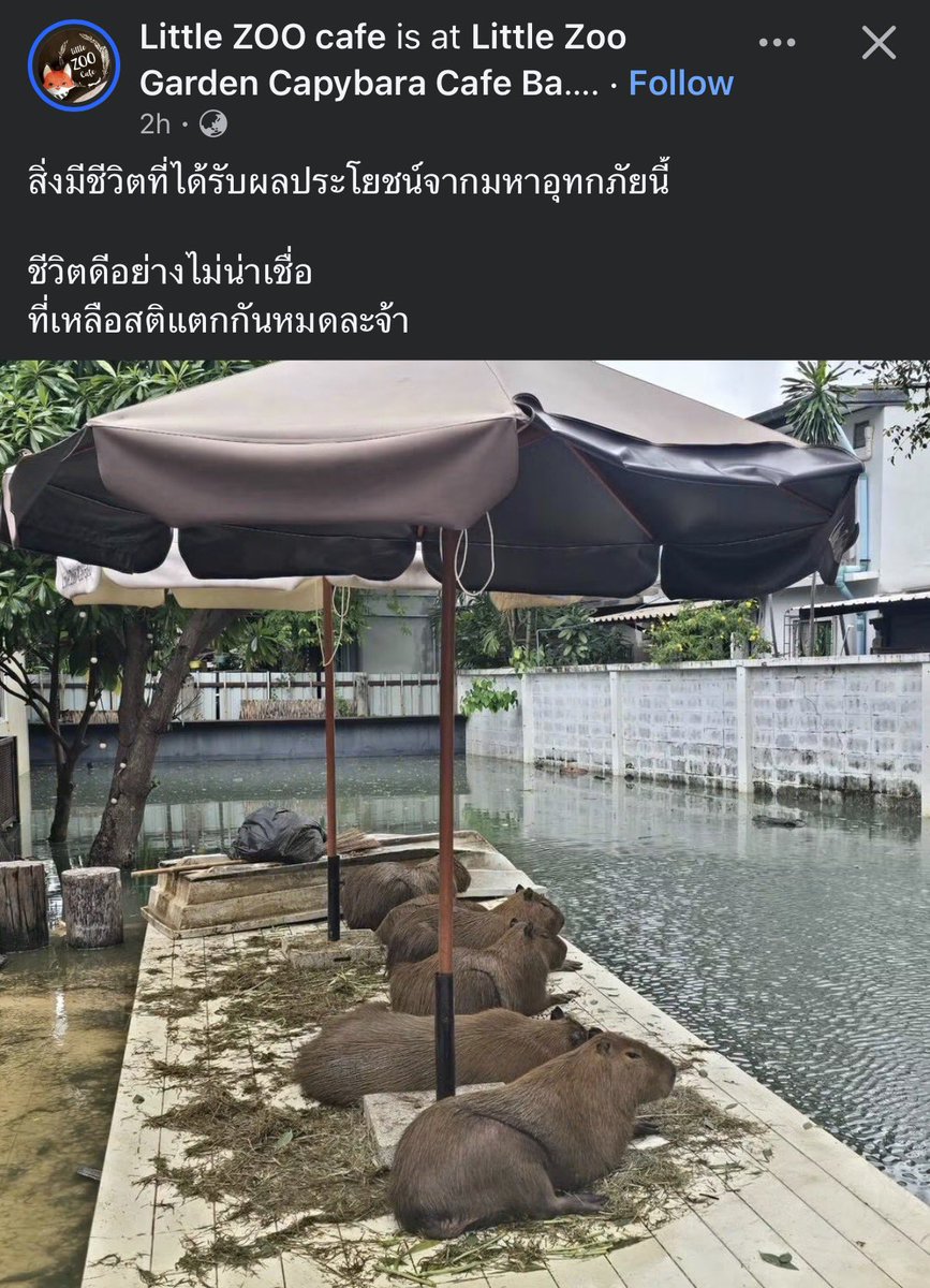 krakraxt's tweet photo. เหมือนน้องไปพักร้อนเลย https://t.co/g7c5Zf9X5n