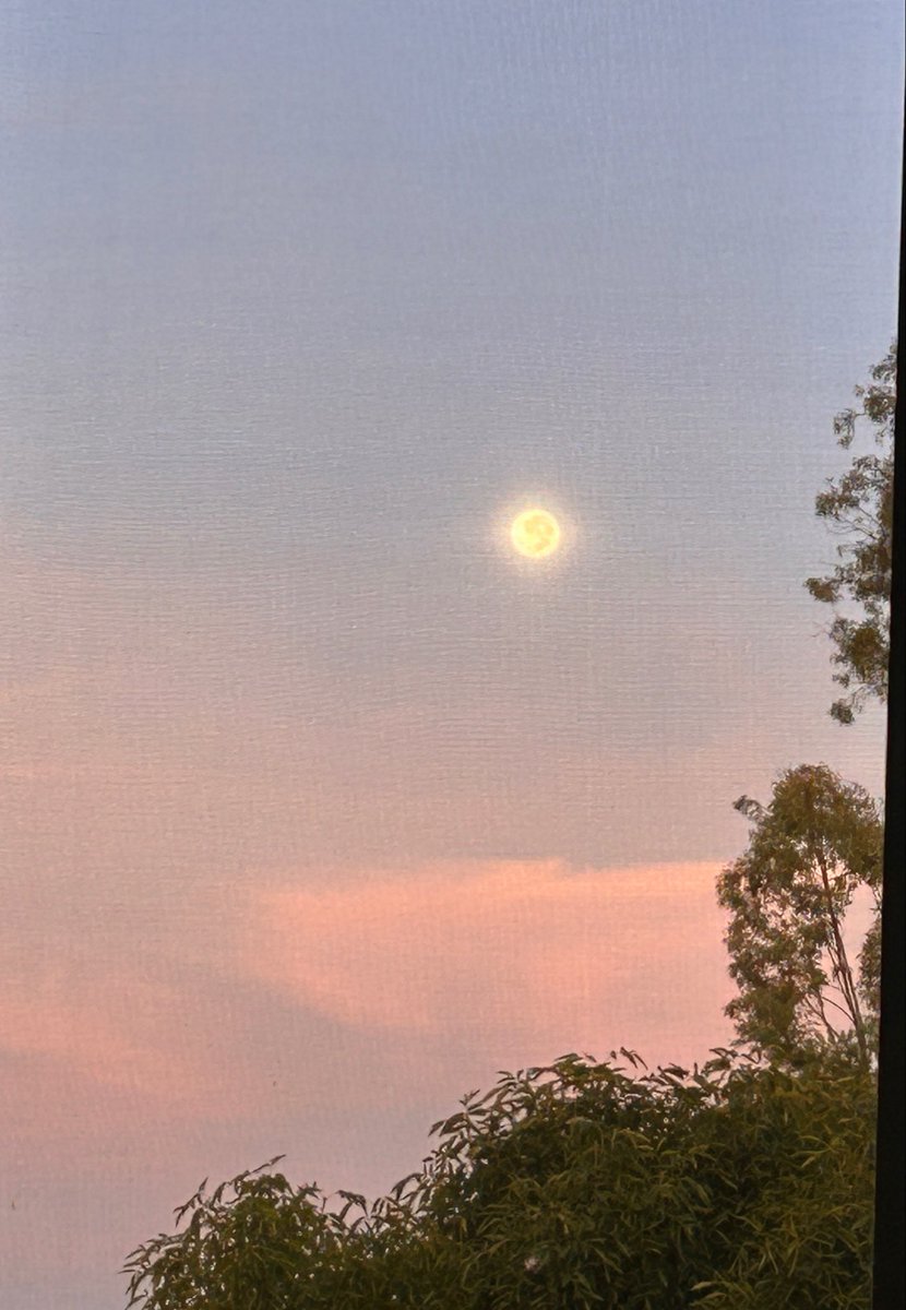 Liss_Arg tweet picture