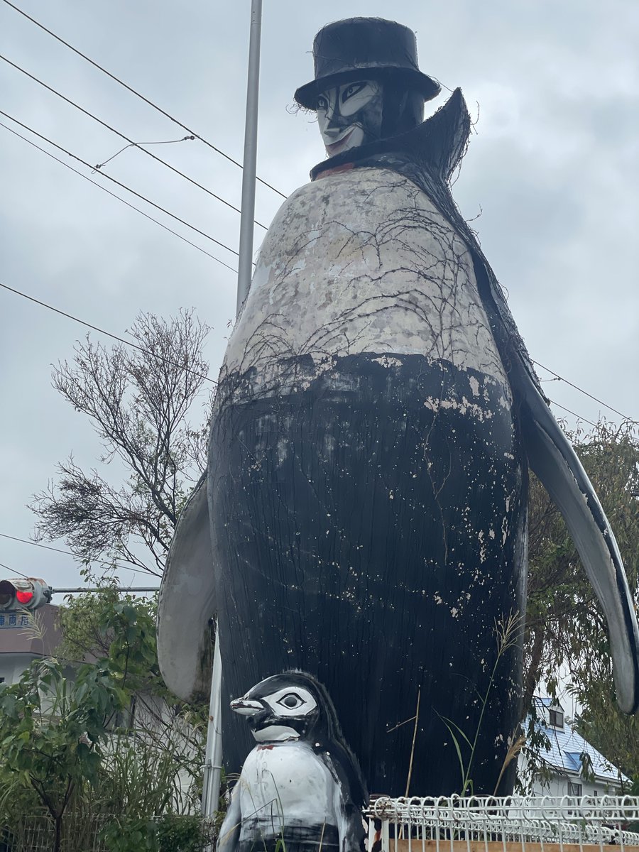 N24521031's tweet photo. ビバ、念願の…
怪しい少年少女博物館へ…🐧🎩

最初で最後に行けて良かった😭

この機を逃しては絶対にならぬ…！
と、26日に岡山からどんぶらこ〜と駆けつけました🍑笑

入り口のセーラちゃんが見えた瞬間、嬉しくてついついニヤけてしまったのは秘密…🤫

#怪しい少年少女博物館　
#セーラちゃん https://t.co/mHzAepah1J