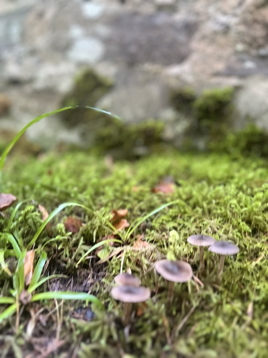 SOS149's tweet photo. Touch grass…it’s good for you https://t.co/pQ0G89udAT