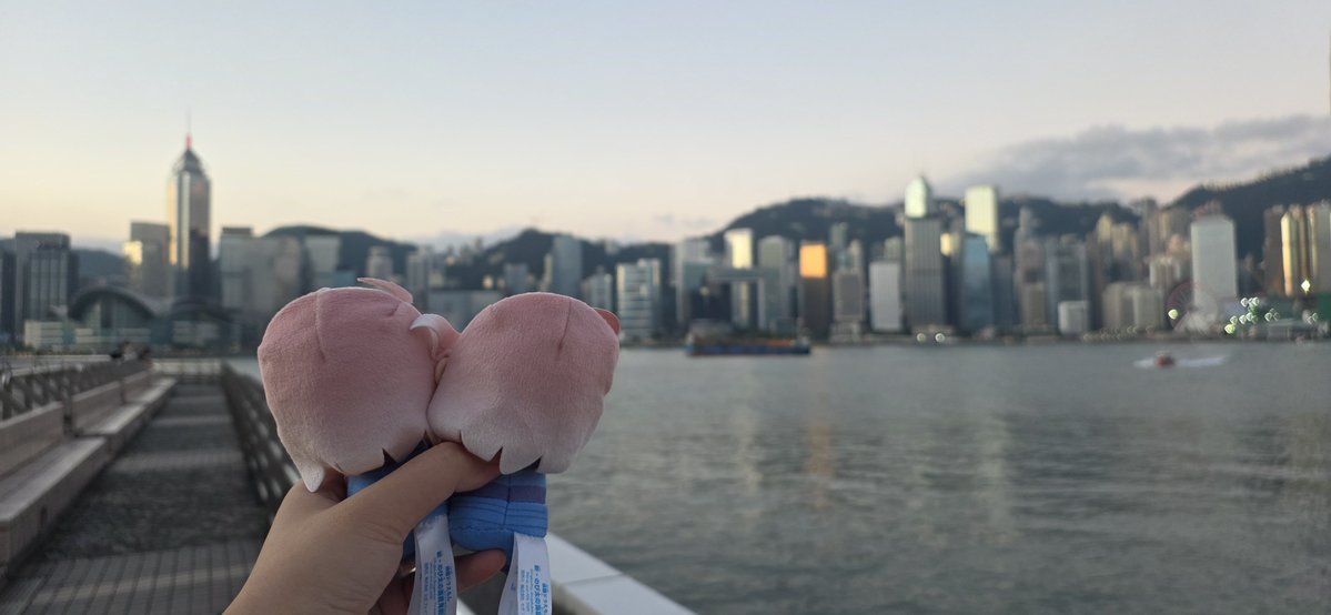 Angelaeng0517's tweet photo. 今早日出 https://t.co/bOMgDbaYFf
