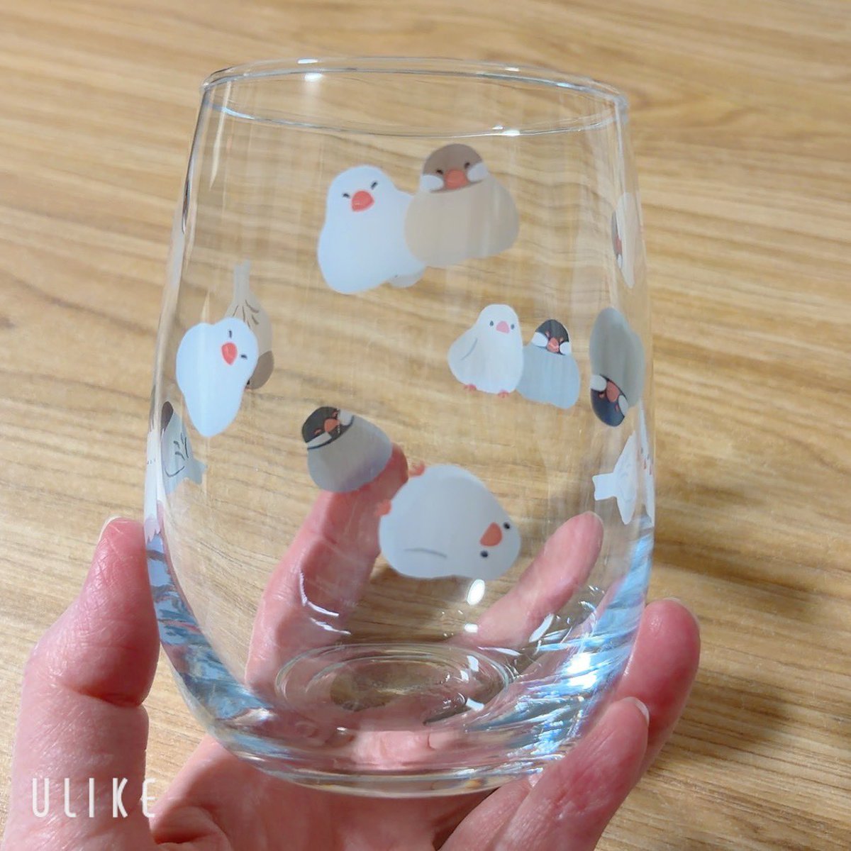 pi_chan_86's tweet photo. 買っちゃった！
かわいい☺ https://t.co/rFIB6aVJTt
