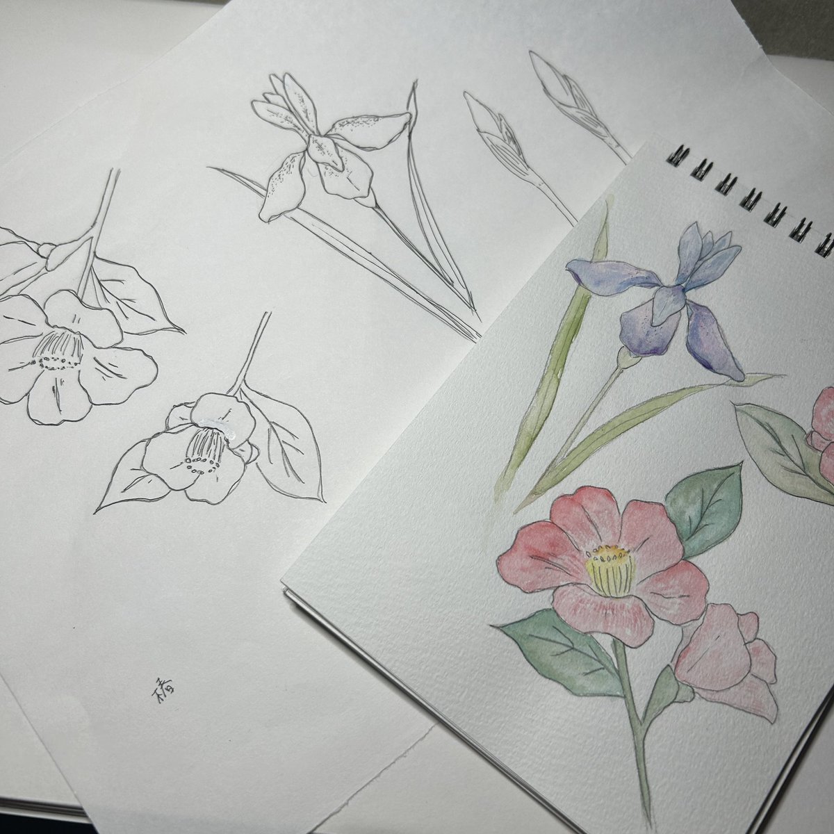 kobone_naon's tweet photo. 今回は沢山描けて楽しかったなぁ😊

世界観的に水彩のタッチだと不足だったから、加工はしたけれど、
描いて、塗って、フォトショで編集して。……水彩を習いたくなりました。
もっとうまくなりたいものです。

新しいことにチャレンジ出来る機会を、ありがとうございました✨

#TRIANGLE https://t.co/z6041wOUpC