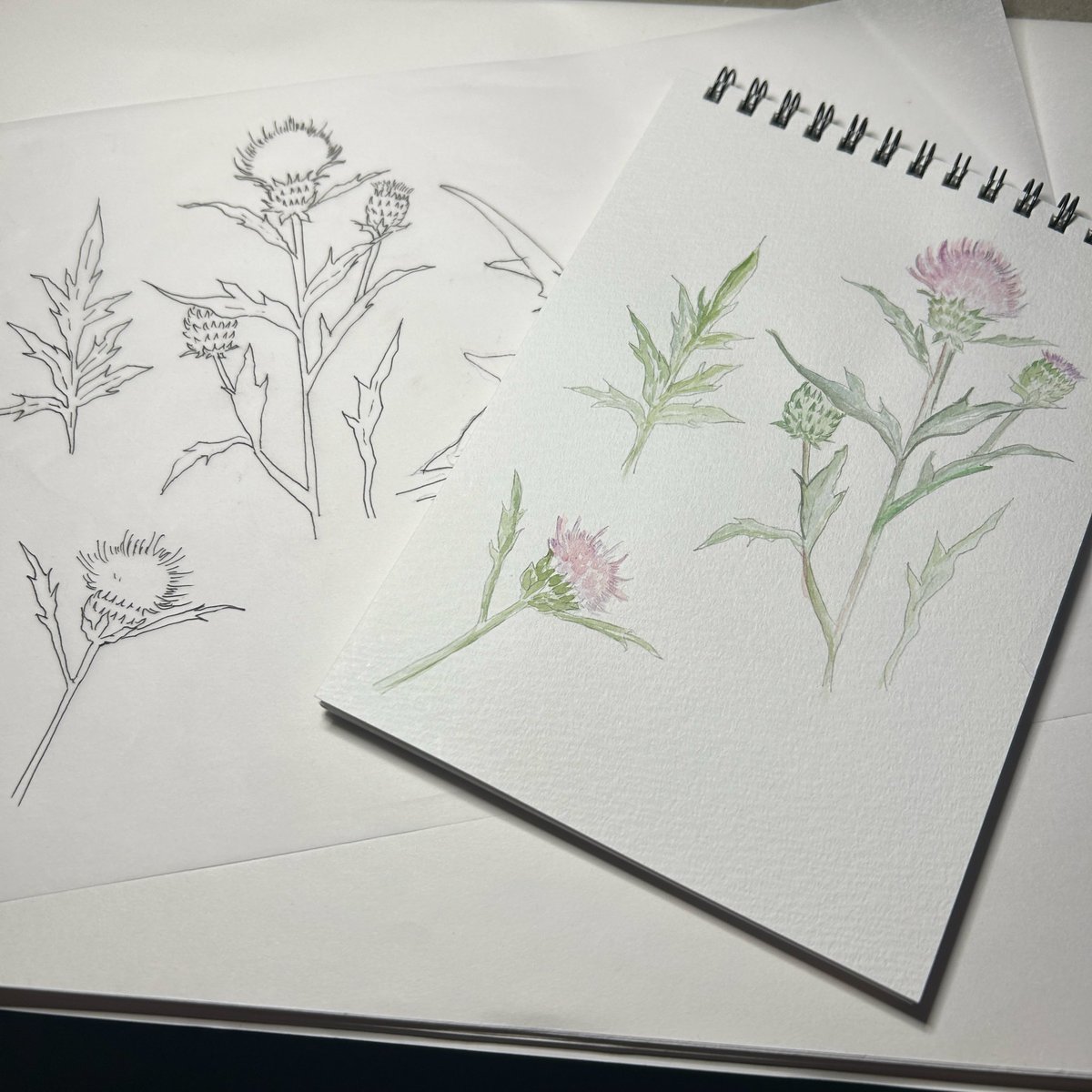kobone_naon's tweet photo. 今回は沢山描けて楽しかったなぁ😊

世界観的に水彩のタッチだと不足だったから、加工はしたけれど、
描いて、塗って、フォトショで編集して。……水彩を習いたくなりました。
もっとうまくなりたいものです。

新しいことにチャレンジ出来る機会を、ありがとうございました✨

#TRIANGLE https://t.co/z6041wOUpC