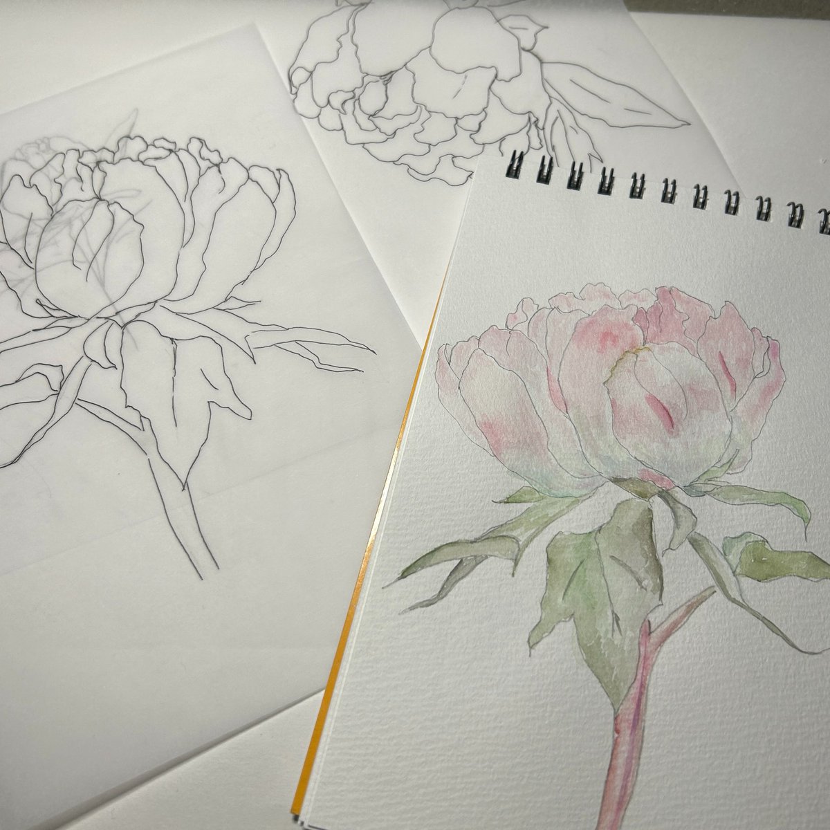 kobone_naon's tweet photo. 今回は沢山描けて楽しかったなぁ😊

世界観的に水彩のタッチだと不足だったから、加工はしたけれど、
描いて、塗って、フォトショで編集して。……水彩を習いたくなりました。
もっとうまくなりたいものです。

新しいことにチャレンジ出来る機会を、ありがとうございました✨

#TRIANGLE https://t.co/z6041wOUpC