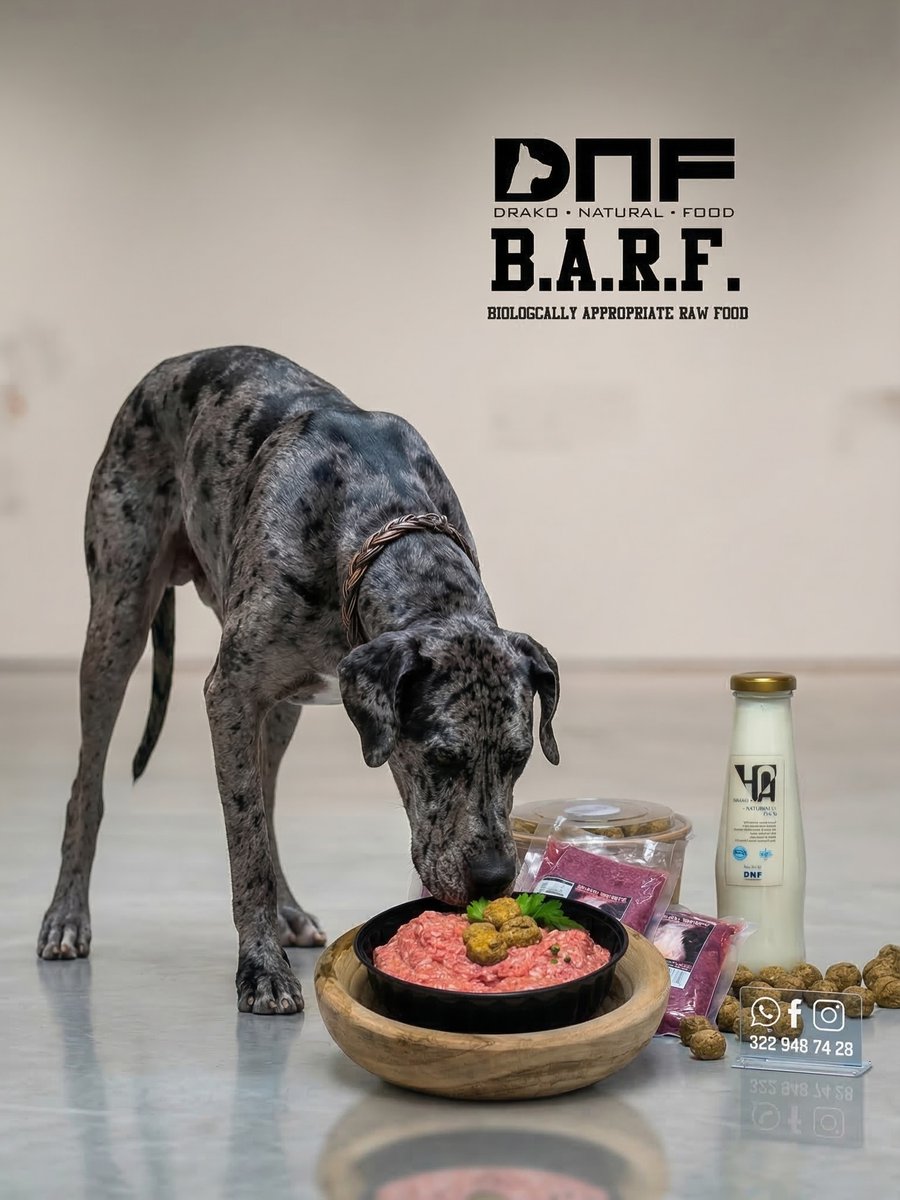 harperramirezte's tweet photo. Do you really know what you’re feeding your pet? Give them strength, health, and a longer life with a BARF diet. If they’re family, give them the best: Drako Natural Food. Fan-made content created with AI. For the pineal gland. https://t.co/Lukfz451Gf
