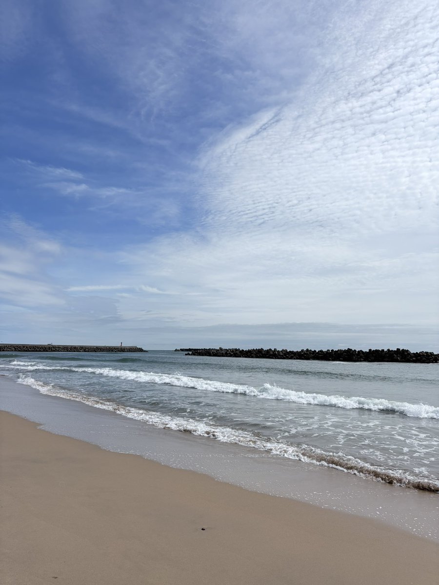 awadon_no's tweet photo. 恒例の
おさかなセンターで朝ごはん
からの海🌊
15分足らずで
シーグラスこんなに見つけた🤩

#kawasaki #ninja #ninja250 https://t.co/eM5sSTzwWT