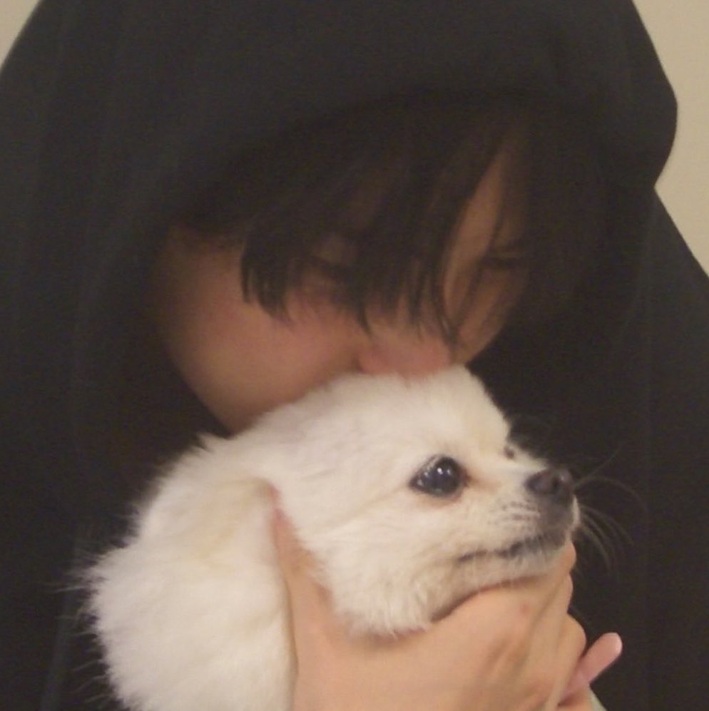1uvbini's tweet photo. 오빠가 ㅅㅎㅂ이든 말든 
      ㄴ 보리: ..... :) https://t.co/CxeRhwkUkP