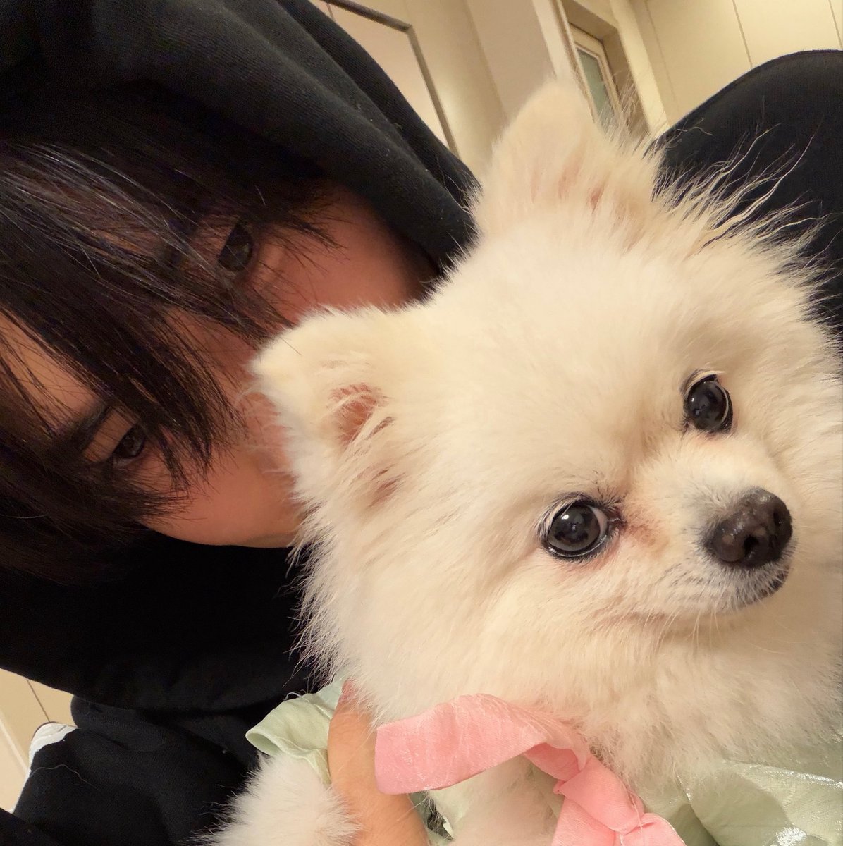 1uvbini's tweet photo. 오빠가 ㅅㅎㅂ이든 말든 
      ㄴ 보리: ..... :) https://t.co/CxeRhwkUkP