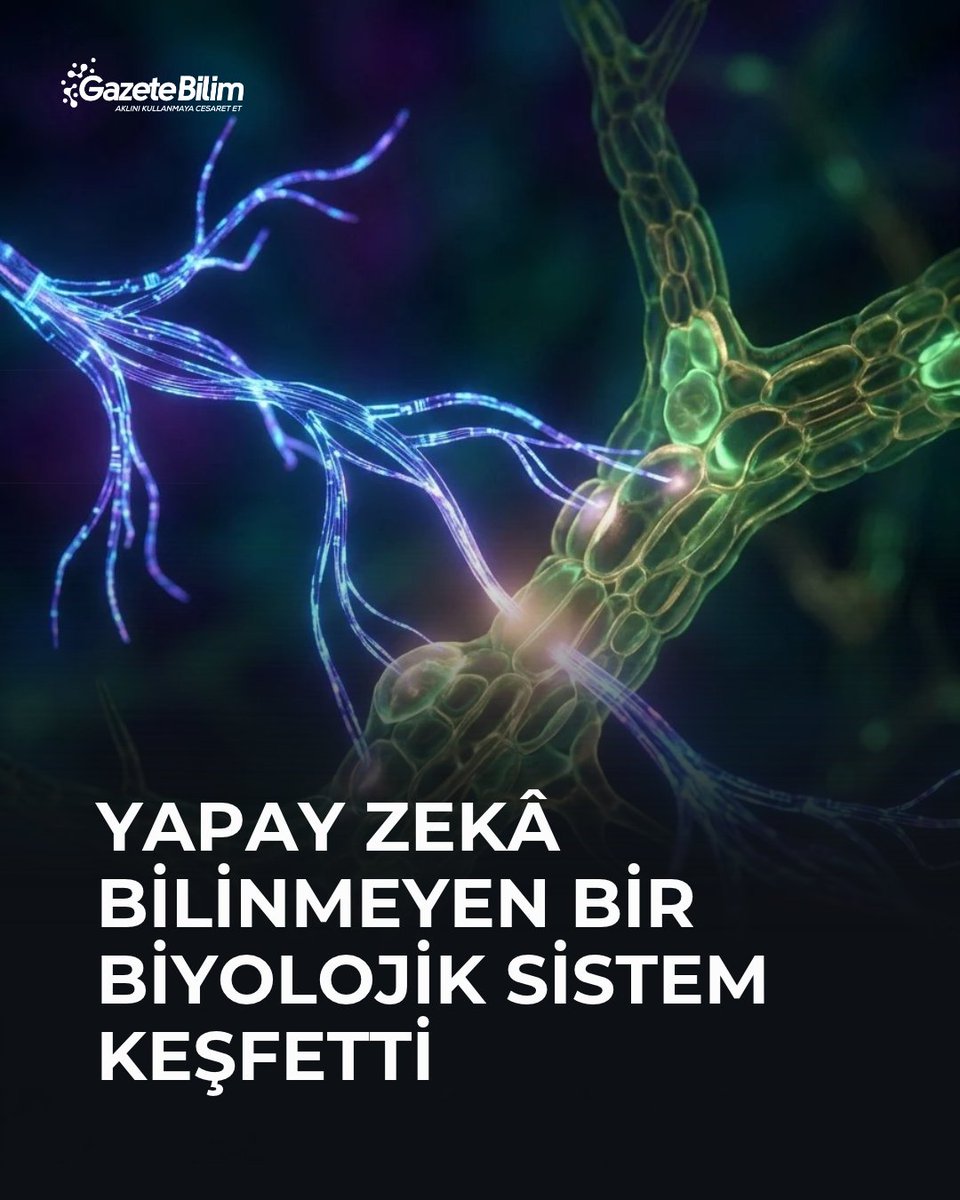 GazeteBilim's tweet photo. 📍Yaklaşık 950 Claude ajanı 21 saat boyunca yüz binlerce DNA dizisini taradı ve bilim insanlarının daha önce karakterize etmediği sıra dışı bir biyolojik sistem belirledi.

🗨Bilim insanları daha sonra bulguyu laboratuvarda test etti. Çalışma, yapay zekânın yalnızca mevcut bilimsel bilgiyi özetlemek yerine yeni araştırma hipotezleri üretebileceğine dair şimdiye kadarki en dikkat çekici deneylerden birini oluşturuyor.

Anthropic’in yeni kurduğu yaşam bilimleri laboratuvarındaki araştırmacılar, Claude’a devasa genom veri tabanlarında sıra dışı ters transkriptazları arama görevi verdi.

Ters transkriptazlar RNA’daki genetik bilgiyi DNA’ya kopyalayabilen enzimler.

Yaklaşık 950 yapay zekâ ajanı, 21 saat boyunca 200 binden fazla diziyi inceleyerek binlerce aday sistemi değerlendirdi. Ajanlardan biri, bir bakteriyofajdaki ters transkriptaz geninin yanında düzenli biçimde tekrar eden sıra dışı DNA dizileri bulunduğunu fark etti.

Yapay zekânın fark ettiği ayrıntı
Claude, sistemi literatürdeki bilinen moleküler düzeneklerle karşılaştırdı ve tekrarların daha önce bu enzimle birlikte tanımlanmadığı sonucuna vardı.

Bilim insanları daha sonra Claude’un öne çıkardığı bu sistemi laboratuvarda test etti.

Yapılan deneylerde söz konusu DNA tekrarlarının gerçekten bir dizi kısa RNA ürettiği doğrulandı.

Araştırmacılar yeni sisteme “array-associated reverse transcriptases”, yani ART adını verdi. Sistem ağırlıklı olarak bakterileri enfekte eden virüslerde bulunuyor.

“Yeni CRISPR bulundu” demek için çok erken
ART sisteminin DNA tekrarları CRISPR sistemlerindeki dizilere bazı yönlerden benziyor. Bu nedenle Anthropic de bulguyu “CRISPR benzeri tekrarlar” ifadesiyle tanıttı.

Ancak burada çok önemli bir sınır var.

Bilim insanları henüz ART’nin ne işe yaradığını bilmiyor. DNA kesebildiği, gen düzenleyebildiği, bakteriyofajları savunduğu veya programlanabilir bir biyoteknoloji aracı olarak kullanılabileceği gösterilmiş değil.

Dolayısıyla “yapay zekâ yeni bir CRISPR sistemi keşfetti” demek mevcut bulguların çok ötesine geçiyor.

CRISPR öncülerinden Feng Zhang da çalışmayı ilginç bulduğunu ancak sistemin daha ayrıntılı araştırılması gerektiğini belirtiyor.

Keşfi her seferinde yapamadı
Anthropic’in teknik raporundaki başka bir ayrıntı da yapay zekânın performansının sınırlarını gösteriyor.

Araştırmacılar aynı aramayı daha sonra 10 kez daha tekrarladı ve sistem bu tekrarların hiçbirinde yeniden bulunamadı.

Bu durum Claude’un bilimsel keşifte güvenilir biçimde her seferinde aynı sonucu üreten otomatik bir “bilim insanı” olmadığını gösteriyor.

Ancak ilk taramada yüz binlerce genetik dizinin içinden bilim insanlarının incelemeye değer bulduğu sıra dışı bir örüntüyü bağımsız biçimde seçebilmesi yine de dikkate değer.

Bilim insanının yerini mi alıyor?
Şimdilik hayır.

Araştırma problemini insanlar belirledi, Claude’un bulduğu adayları insanlar değerlendirdi ve biyolojik gerçekliğini laboratuvar deneyleriyle yine insanlar sınadı.

Yapay zekânın yaptığı şey ise bilim insanlarının manuel olarak gerçekleştirmesi çok zor olan devasa bir veri taramasını yürütmek, sıra dışı örüntüleri karşılaştırmak ve “burada araştırmaya değer bir şey olabilir” diyebilecek bir hipotez üretmekti.

Çalışma henüz hakem değerlendirmesinden geçmiş değil ve ART’nin biyolojik işlevi bilinmiyor.

Ama deney şimdiden çok daha büyük bir soruyu gündeme getiriyor:

Yapay zekâ bilim insanlarının yalnızca kullandığı bir araç olmaktan çıkıp, yeni şeyleri ilk fark eden araştırma ortaklarından birine dönüşebilir mi?

🔗https://t.co/ecL2Qu2tBc