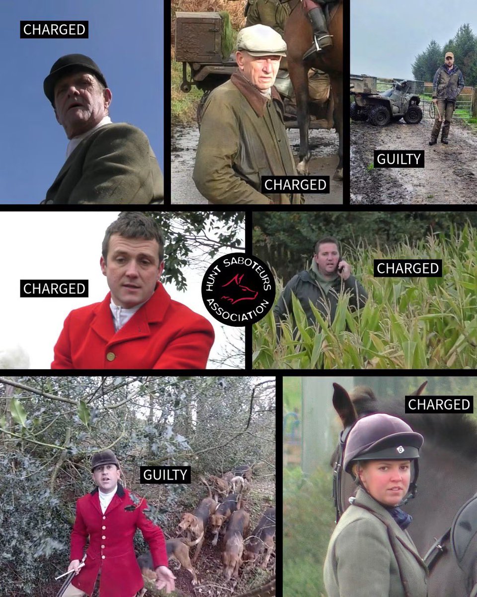 HuntSabs's tweet photo. 📣It has been a busy few days in the courts!

Very recently, several individuals associated with 𝗙𝗢𝗨𝗥 hunts that have either been found guilty, charged, or had a plea hearing ahead of trial in relation to illegal hunting & associated offences.

𝗤𝗨𝗔𝗡𝗧𝗢𝗖𝗞 𝗦𝗧𝗔𝗚𝗛𝗢𝗨𝗡𝗗𝗦 

Firstly, we announced that the huntsman and hunt master of the Quantock Staghounds have both been charged with illegal hunting, in relation to an incident in which a stag was killed on March 16th, 2026.

𝙃𝙪𝙣𝙩𝙨𝙢𝙖𝙣 𝙈𝙖𝙧𝙩𝙞𝙣 𝙒𝙖𝙩𝙩𝙨 (top, left)
𝙃𝙪𝙣𝙩𝙢𝙖𝙨𝙩𝙚𝙧 𝘾𝙝𝙧𝙞𝙨 𝙂𝙞𝙗𝙗𝙤𝙣𝙨 (middle, right)

Watts also faces a further charge relating to a seperate incident on April 23rd, 2026.  Both are due to appear at Taunton Magistrates Court on October 22nd, 2026.

You can read about the Quantock charges here 👉https://t.co/Mz8mam0LXi

𝗠𝗘𝗡𝗗𝗜𝗣 𝗙𝗔𝗥𝗠𝗘𝗥𝗦 𝗛𝗨𝗡𝗧

Next we wrote about the plea hearing on the 15th September 2026 of three members of the Mendip Farmers Hunt who are charged with illegal hunting in relation to an incident in which a fox broke cover and was chased and killed on January 17th, 2026.

𝙃𝙪𝙣𝙩𝙨𝙢𝙖𝙣 𝘾𝙝𝙖𝙧𝙡𝙞𝙚 𝙏𝙝𝙤𝙢𝙖𝙨 (middle, left)
𝙃𝙪𝙣𝙩 𝙢𝙚𝙢𝙗𝙚𝙧 𝙀𝙢𝙢𝙖 𝘾𝙡𝙤𝙩𝙝𝙞𝙚𝙧 (bottom, right) 
𝙃𝙪𝙣𝙩 𝙢𝙚𝙢𝙗𝙚𝙧 𝘽𝙞𝙡𝙡 𝙋𝙖𝙮𝙣𝙚 (Top, centre)

All three pleaded not guilty and are due to face trial at Taunton Deane Magistrates Court on the 15th September 2027.  

Read about the Mendip Farmers Hunt charges here 👉https://t.co/G9fISklWZA

𝗘𝗚𝗚𝗘𝗦𝗙𝗢𝗥𝗗 𝗛𝗨𝗡𝗧 / 𝗦𝗣𝗢𝗢𝗡𝗘𝗥𝗦 & 𝗪𝗘𝗦𝗧 𝗗𝗔𝗥𝗧𝗠𝗢𝗢𝗥 𝗛𝗨𝗡𝗧

Then there is the Eggesford Huntsman who had pleaded guilty, when a drone captured the hunt digging a fox out of rubble before the hounds gave chase on Boxing Day 2025.

𝙃𝙪𝙣𝙩𝙨𝙢𝙖𝙣 𝙅𝙖𝙨𝙤𝙣 𝙈𝙖𝙧𝙡𝙚𝙨 (middle, left)

Marles was fined £500 and order to pay £285 in costs.

𝙏𝙤𝙢 𝘽𝙤𝙪𝙣𝙨𝙖𝙡𝙡, 𝙩𝙚𝙧𝙧𝙞𝙚𝙧𝙢𝙖𝙣 (top, right) terrier-man for both the Eggesford Hunt and the Spooners & West Dartmoor Hunt, was also convicted following two seperate incidents involving hunt saboteurs. 

Bounsall was convicted of intentional disorderly behaviour and careless driving. The driving incident  occurred at an Eggesford Hunt meets and the public order offence was at a Spooners Hunt meet, in November 2025 and January 2026 respectively. He was fined £1,500 and ordered to pay a further £685 in costs and victim surcharge. 

𝗠𝗼𝗿𝗲 𝘁𝗼 𝗳𝗼𝗹𝗹𝗼𝘄 𝗼𝗻 𝘁𝗵𝗲 𝗘𝗴𝗴𝗲𝘀𝗳𝗼𝗿𝗱 𝗰𝗼𝗻𝘃𝗶𝗰𝘁𝗶𝗼𝗻𝘀. 

Of the above cases, the footage supplied for all the above charges have came from hunt sabs. 

Footage that have lead to these actions was supplied by several HSA affilated groups including North Dorset Hunt Saboteurs, Mendip Hunt Sabs, Devon County Hunt Saboteurs, Plymouth & West Devon Hunt Sabs, and also footage from Wildlife Guardian.  

You can join the HSA for just £20 a year, and help us support the sabs doing the legwork to end hunting - week in, week out,  in the fields 👉https://t.co/s1vpFst2JT