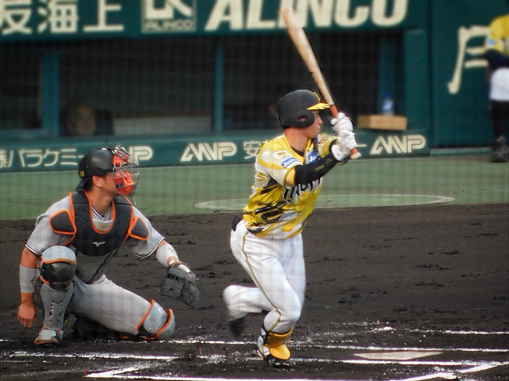 けんぴ🐯⚾ on X: 