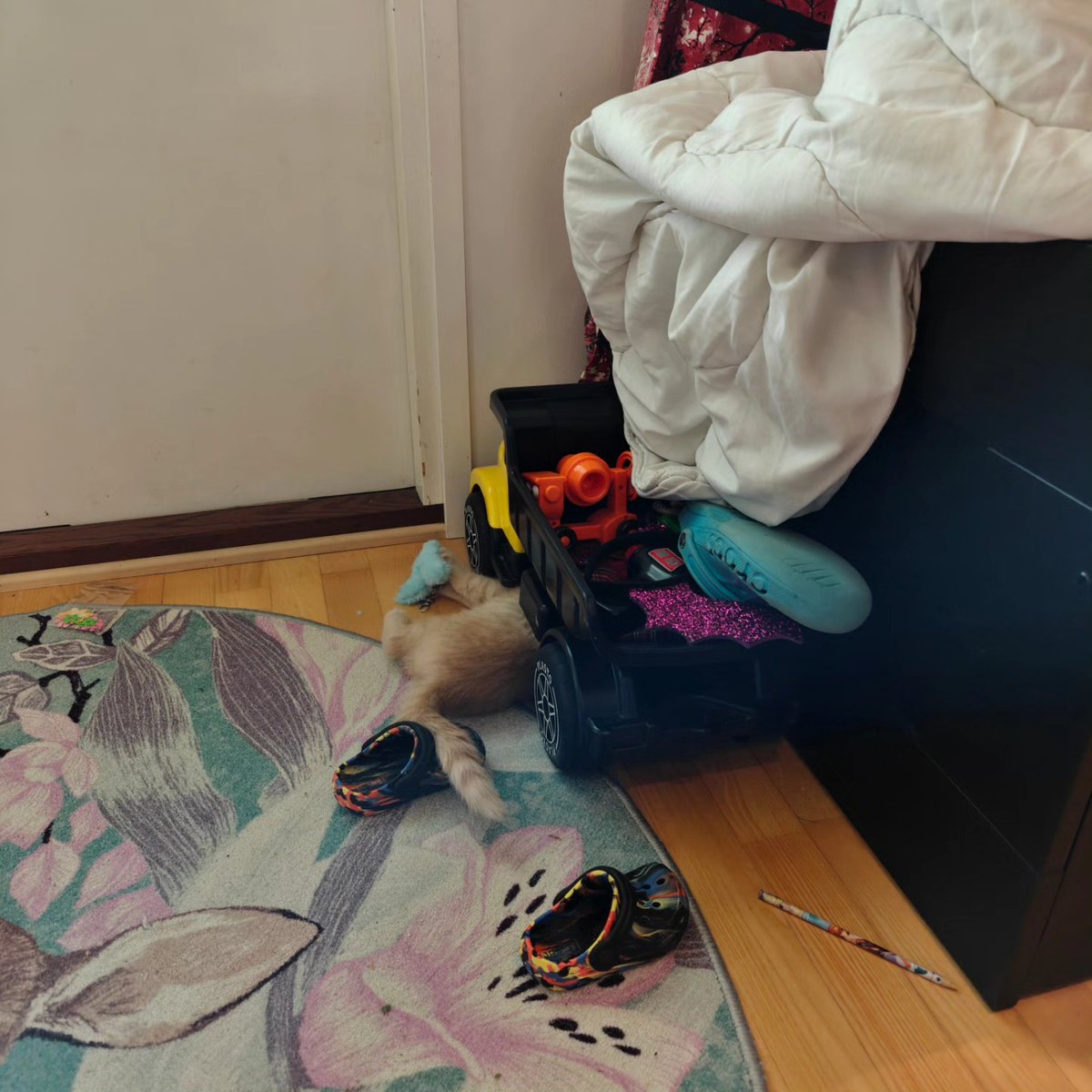 violetnelson25k's tweet photo. I went to the vet today and was super brave! But work was still waiting at home—no one else can fix these trucks but little me. https://t.co/9r5kaD2oxU