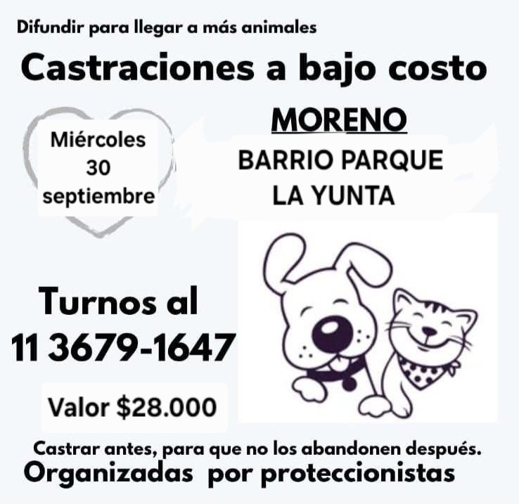 protegealanimal's tweet photo. MORENO 
#MORENO #BARRIOPARQUE   #BARRIO2000 #JARDINES1 #CASCALLARES #SAMBRIZZI #ELCAÑÓN #LASFLORES #PASODELREY #TRUJUI #BARRIO4VIENTOS #MALAVER2 #CUARTELV #LAREJAGRANDE #VILLASALAS #VILLAZAPIOLA #25DEMAYO #LAVICTORIA #LAYUNTA #FÁLVAREZ #ZONAOESTE #GRANBSAS #BSAS #CONURBANO https://t.co/BD7efqxWpD