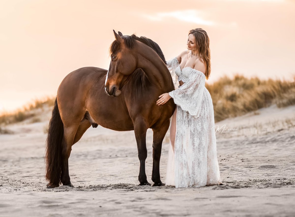 brooklynhellyq's tweet photo. Quiet moment. Strong bond. The beauty of a sunrise. Photo taken during Portfolio Day Beach Love by Mistygrafie in the Netherlands. https://t.co/CpSvoyrjg7