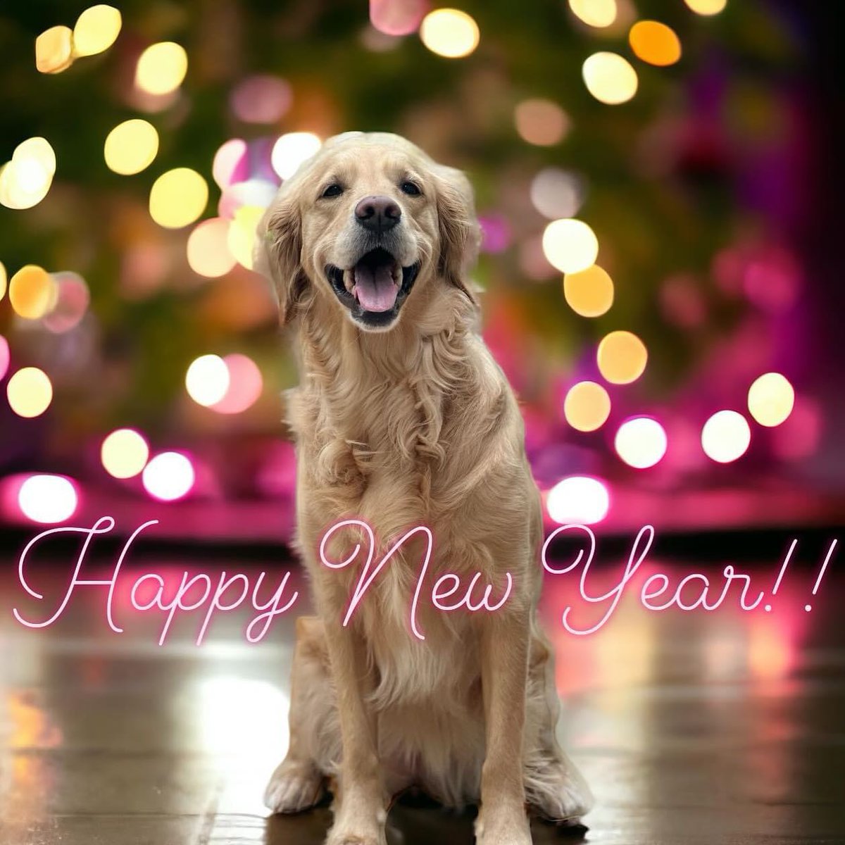 addisonrobgn57's tweet photo. Happy New Year, friends! https://t.co/ONqM3NGMbu