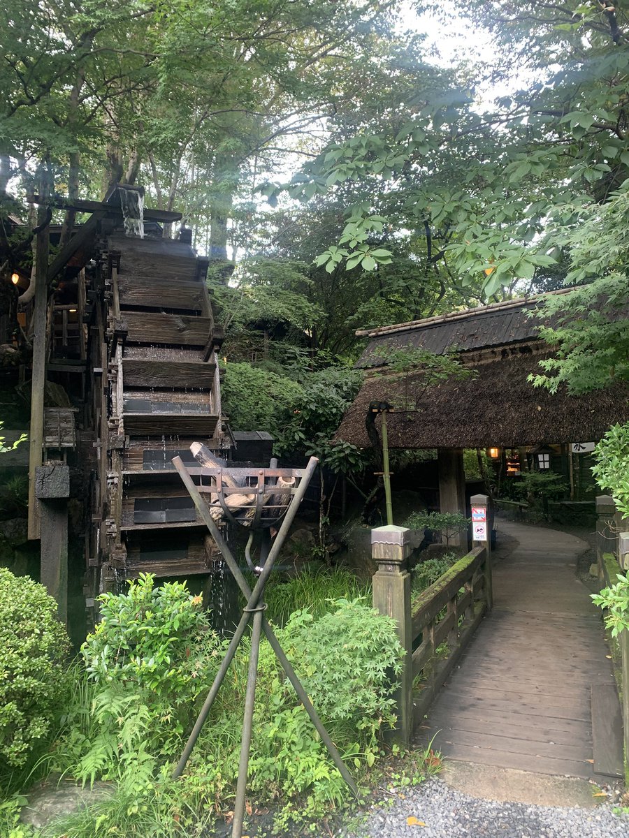 ge_shouma's tweet photo. 今日はずっと行って見たかった緑に囲まれた🌳風情あるカフェ🍵に行ってきたよ。渓谷眺めながらくつろげる感じで良き☺️めっちゃﾏｲﾅｽｲｵﾝ浴びてきた。癒されたぁ☺️ https://t.co/YcK5cwMZFC