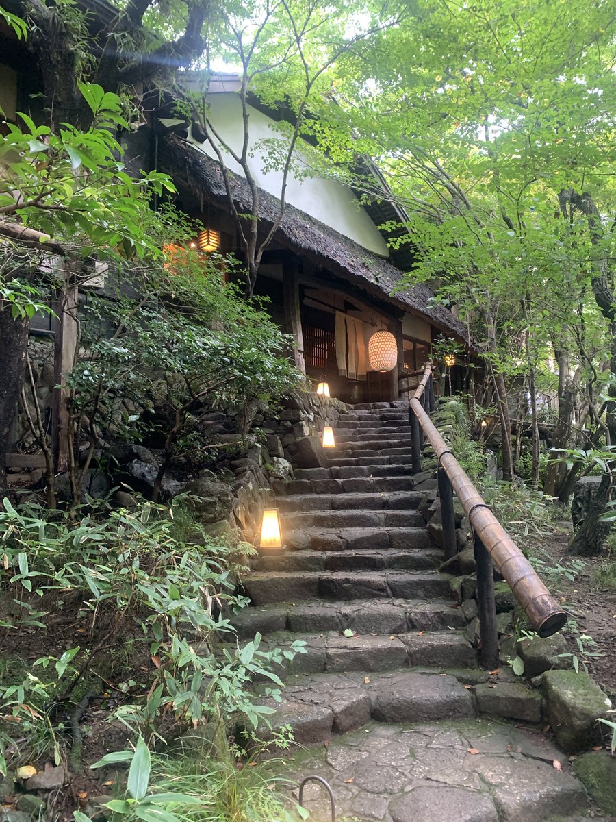 ge_shouma's tweet photo. 今日はずっと行って見たかった緑に囲まれた🌳風情あるカフェ🍵に行ってきたよ。渓谷眺めながらくつろげる感じで良き☺️めっちゃﾏｲﾅｽｲｵﾝ浴びてきた。癒されたぁ☺️ https://t.co/YcK5cwMZFC