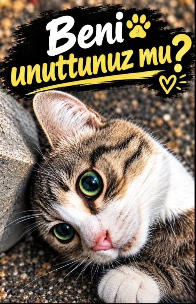 kadrisko's tweet photo. #miniğiunutma #HayvanKatliamınaDurDe #BesledimBesliyorumBesleyeceğim #beslemeyasaklanamaz
Minik kuzum bir avuç insan da olsak sesin olmaya devam edeceğiz hakkını arayacağız meydanlarda bizi yalnız bırakanlar burada çok güzel adalet iatiyorlar buyrun sizleride yanımızda görelim https://t.co/VKFM6sRZFJ