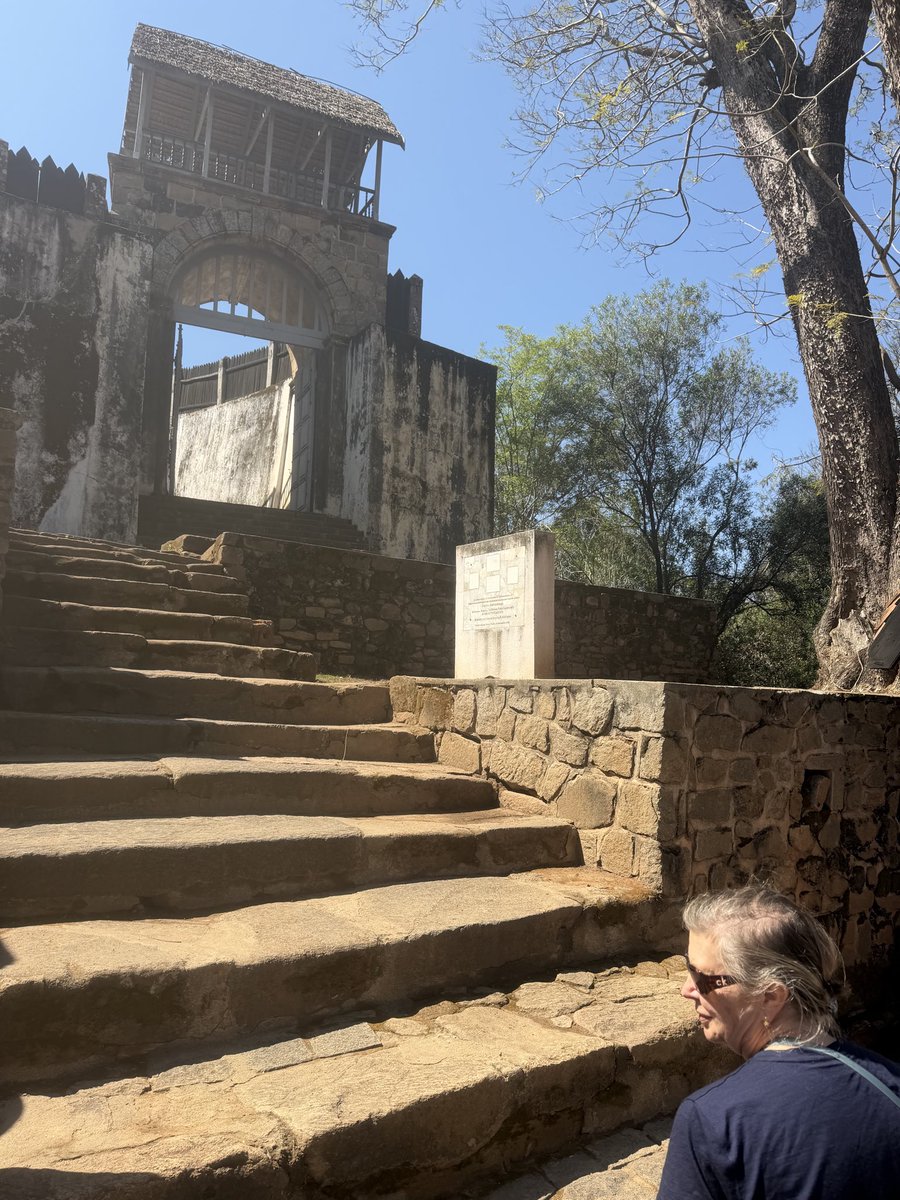 StephenGRyan's tweet photo. Views of the Royal palace in Tana our last visit on the trip. #asatours    #abcradio  #mtmacedon  #dicksoniarareplants  planttrust#thehorticulturalists 
￼

￼

￼ https://t.co/NzEd5uDuK6
