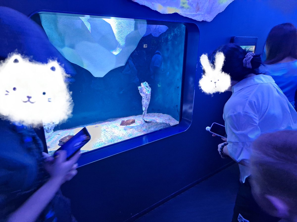 MiruTrpg_'s tweet photo. 🍊🐟🐑でほぼ初USJと初海遊館行った〜‼️
三日三晩大はしゃぎでした ありがとうねえ；；；
ひとまずハリポタを履修しようと思います https://t.co/vJuM7l5VHl