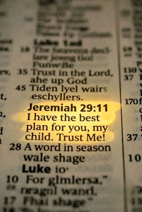 tweetsverses's tweet photo. I trust you my lord
Jeremiah 29:11 https://t.co/JbsPjIy3p2