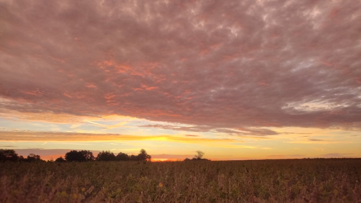 Jim____Johnson's tweet photo. Good Morning #Kentucky https://t.co/7lFHexjc8Z