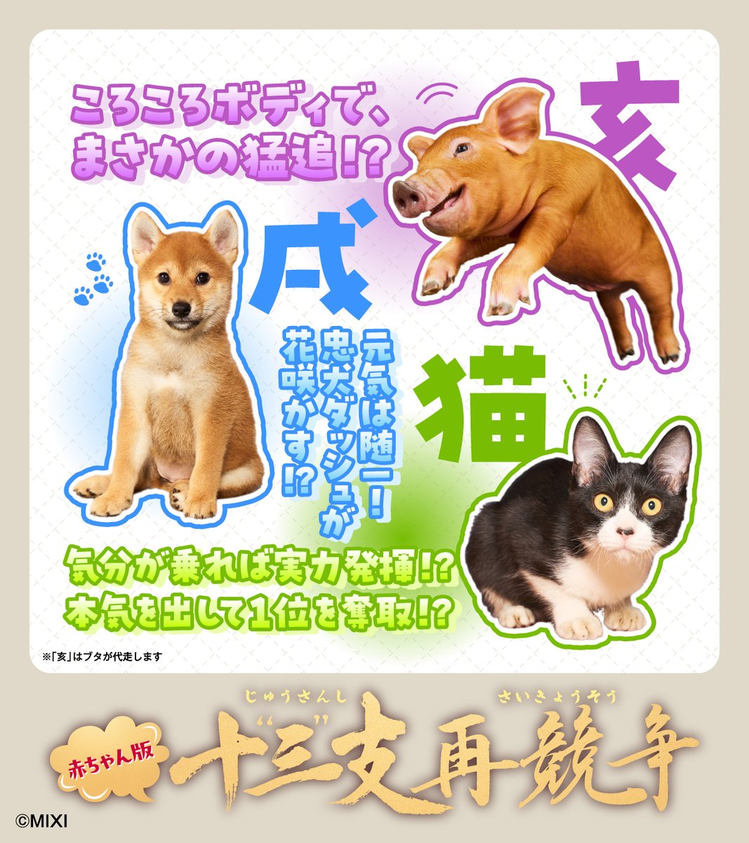 monst_mixi's tweet photo. この13種で、競います。

どうなるかは、まだ誰にもわかりません。

赤ちゃん版 #十三支再競争 https://t.co/p6bJbgltah