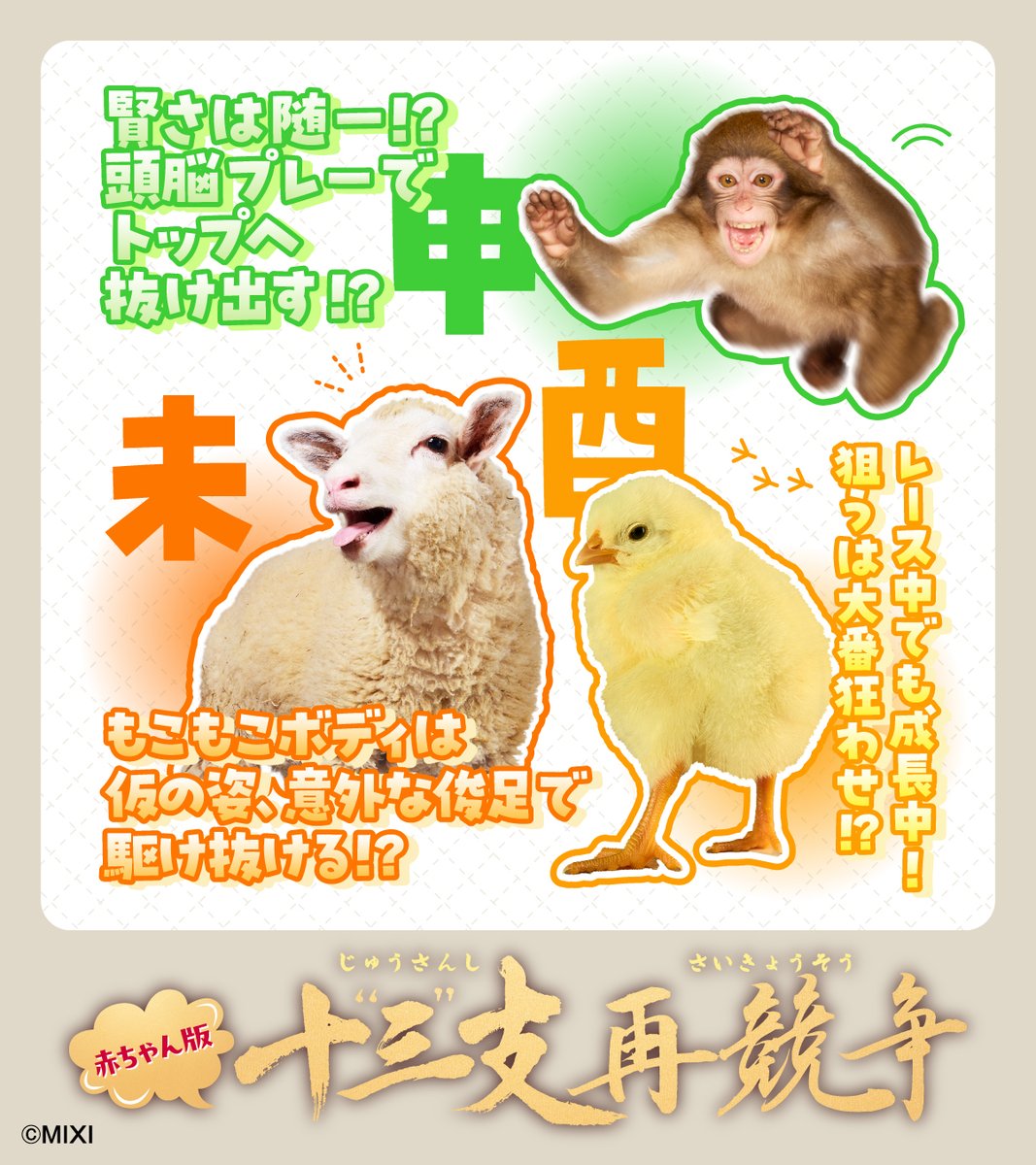 monst_mixi's tweet photo. この13種で、競います。

どうなるかは、まだ誰にもわかりません。

赤ちゃん版 #十三支再競争 https://t.co/p6bJbgltah