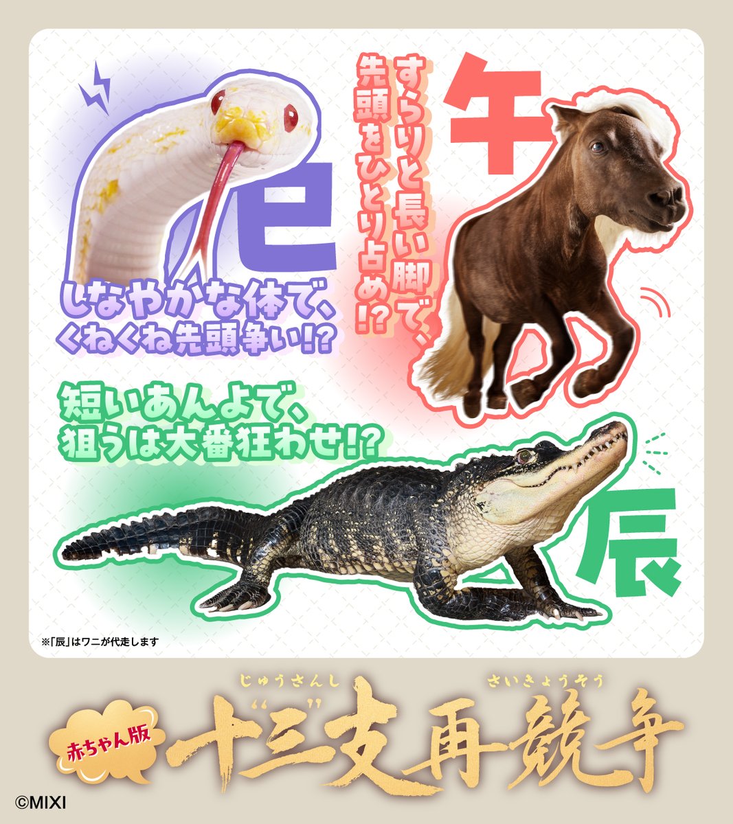 monst_mixi's tweet photo. この13種で、競います。

どうなるかは、まだ誰にもわかりません。

赤ちゃん版 #十三支再競争 https://t.co/p6bJbgltah