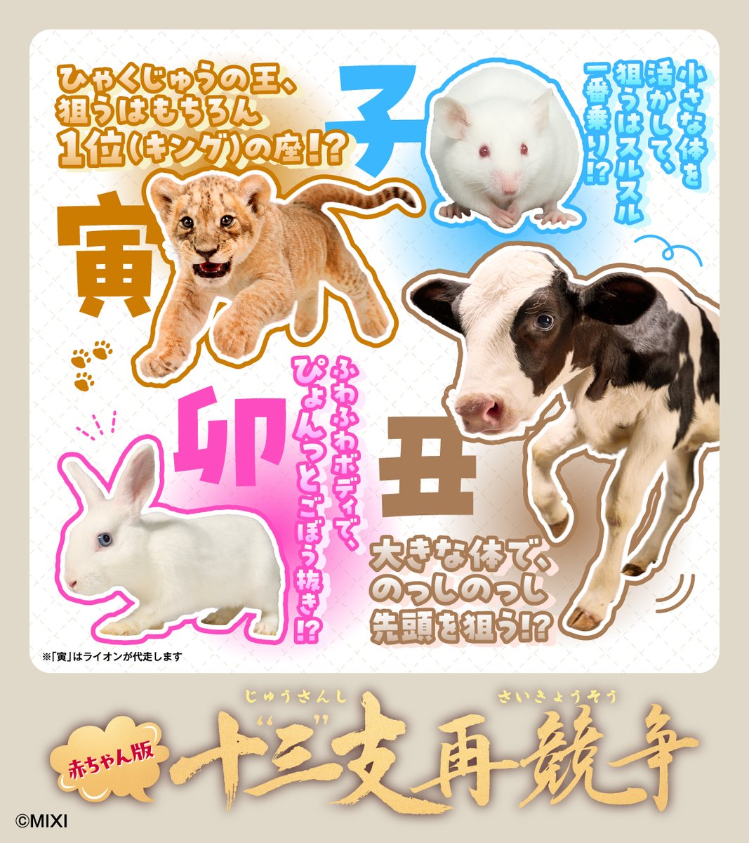monst_mixi's tweet photo. この13種で、競います。

どうなるかは、まだ誰にもわかりません。

赤ちゃん版 #十三支再競争 https://t.co/p6bJbgltah