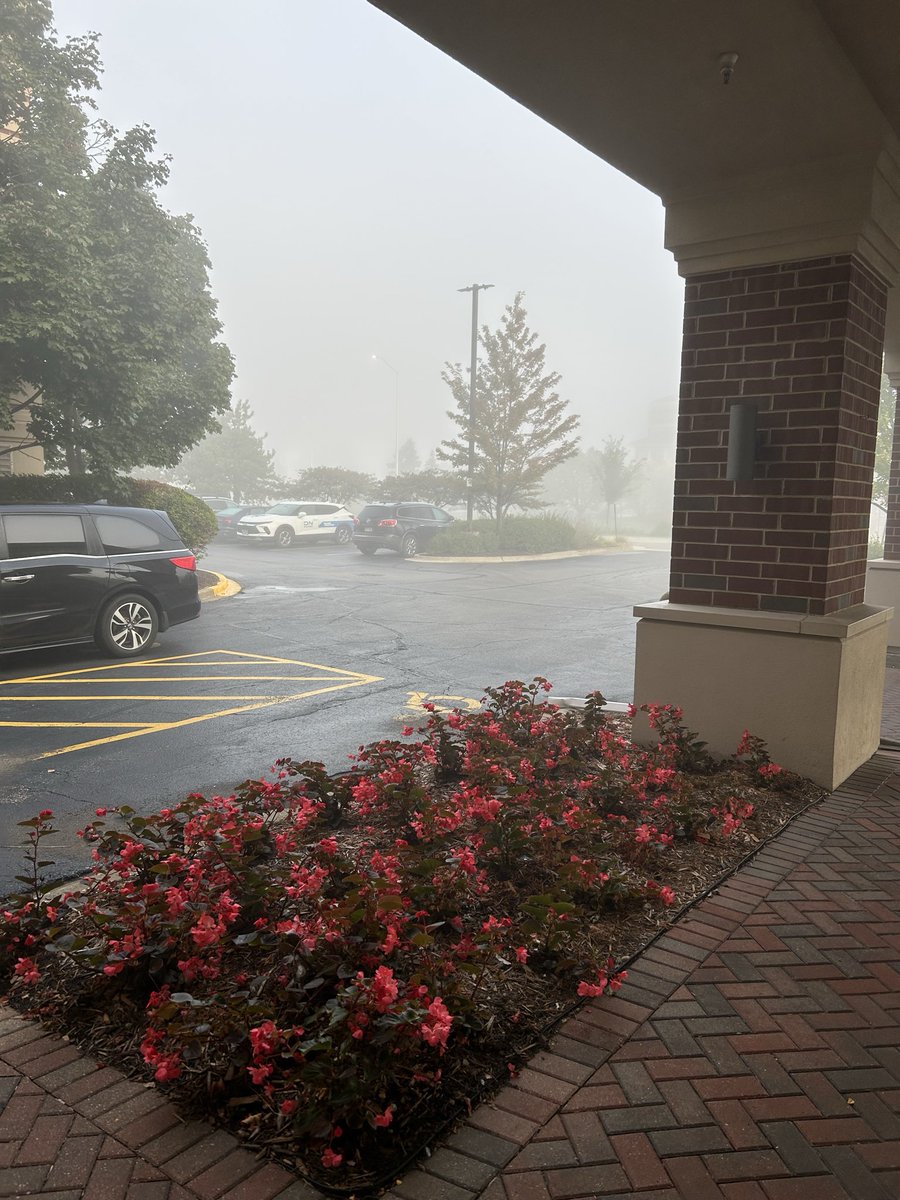 rasphappy_pi's tweet photo. グッバイホテル！それにしてもこれ霧ヤバすぎ笑 https://t.co/SmRUMbKiKM