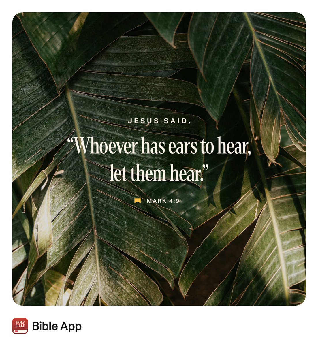 crescentcog's tweet photo. “And He said to them, “He who has ears to hear, let him hear!””
Mark 4:9 NKJV https://t.co/sv4Nx1OFq7