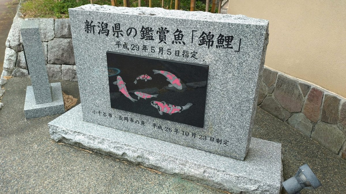 minto20080323's tweet photo. 誰か私の双眼鏡しらない？釣りにもっていってたんだけど3年くらい見てない https://t.co/joJSOTSL2P