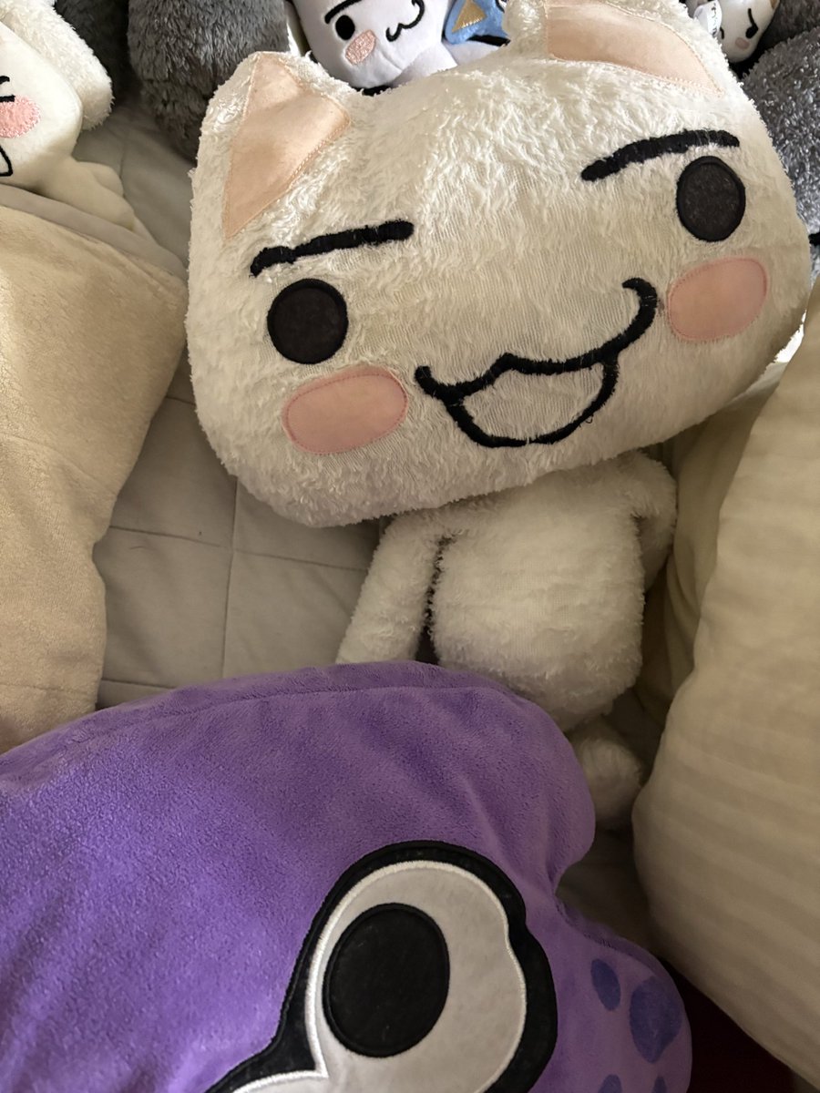 torosuki_'s tweet photo. じゃん、母を連れていく為に一瞬実家にゃ
トローうちの初代トロー😭
甥っ子と家を出ちゃうにゃ…悲しいよ https://t.co/S21daNR9HN