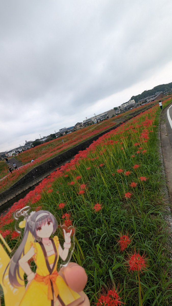 WABT_Gunso's tweet photo. はしゃいでたらライブ遅れた https://t.co/aiViZSnxva