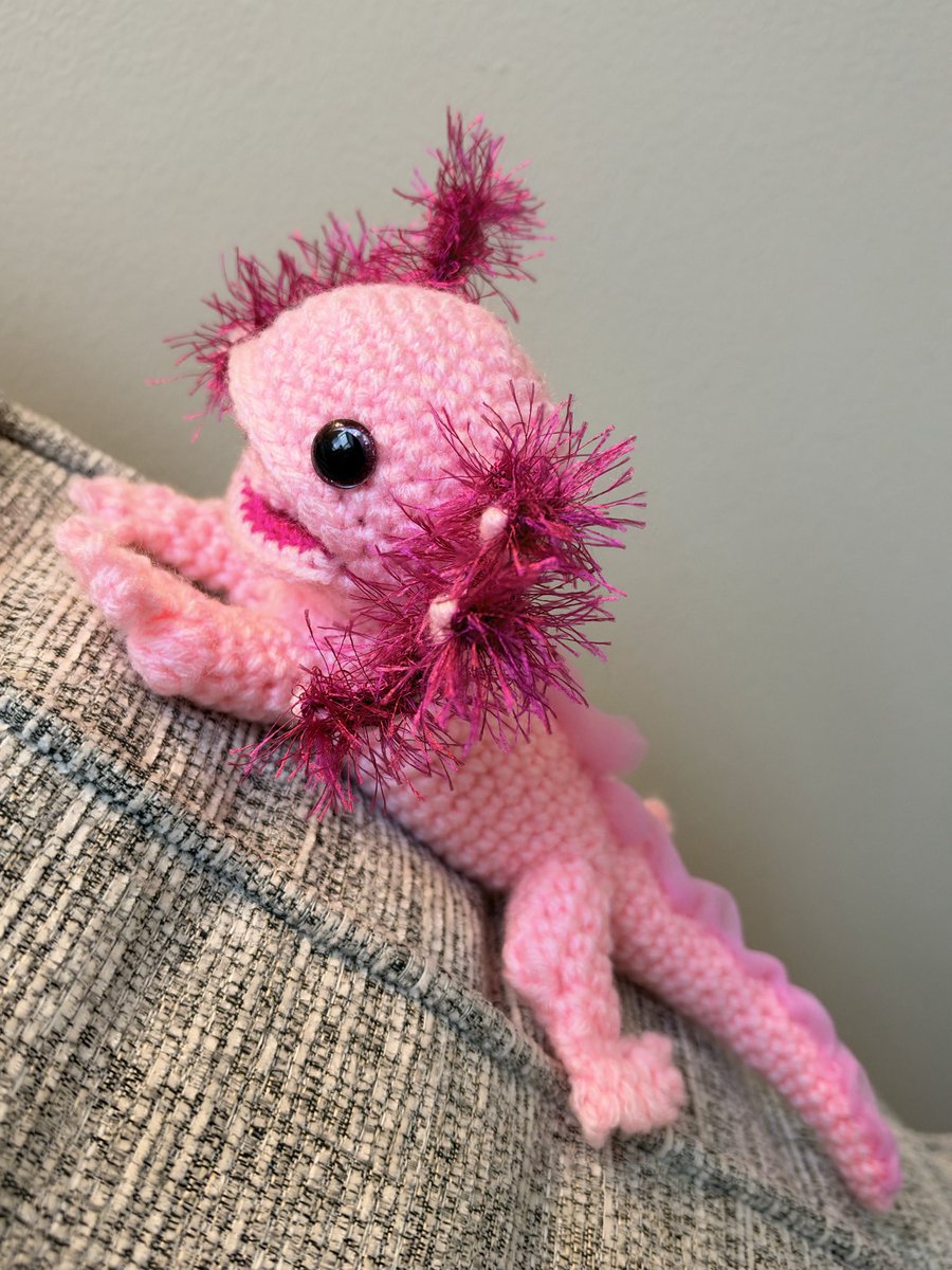 PalliativeCRNP's tweet photo. I asked Brielle what her favorite animal was, fully expecting something a little more… familiar. 😂 (hoping for a cat maybe) 

Her answer: axolotl.

Which meant I first had to Google what an axolotl even was. A little peculiar? Absolutely. But okay, girl - I respect it.

Then it was Etsy to the rescue for a crochet pattern, and from there:

Challenge accepted. 🩷🧶

Now she has her very own handmade axolotl. Weird little favorite animal and all.