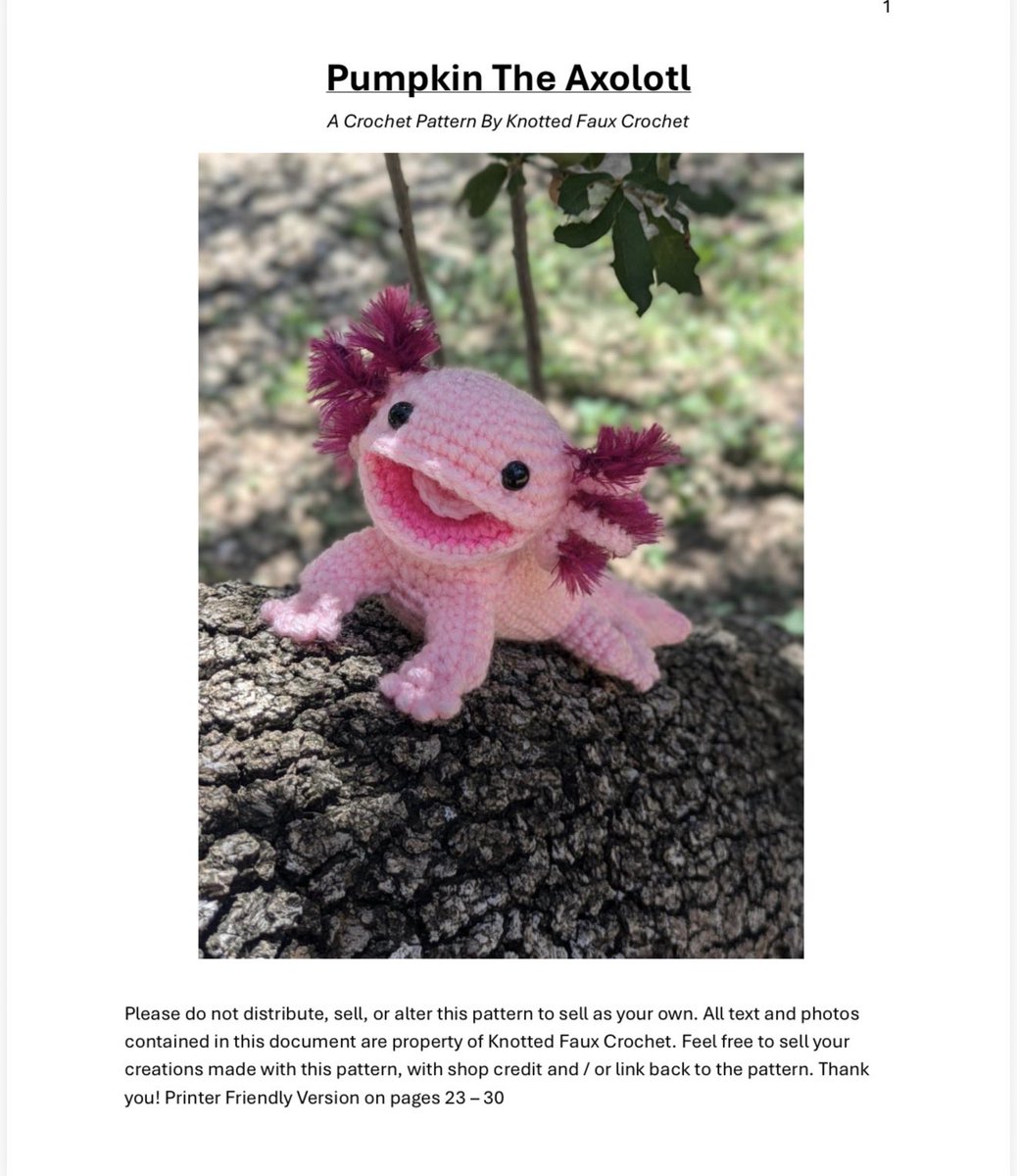 PalliativeCRNP's tweet photo. I asked Brielle what her favorite animal was, fully expecting something a little more… familiar. 😂 (hoping for a cat maybe) 

Her answer: axolotl.

Which meant I first had to Google what an axolotl even was. A little peculiar? Absolutely. But okay, girl - I respect it.

Then it was Etsy to the rescue for a crochet pattern, and from there:

Challenge accepted. 🩷🧶

Now she has her very own handmade axolotl. Weird little favorite animal and all.
