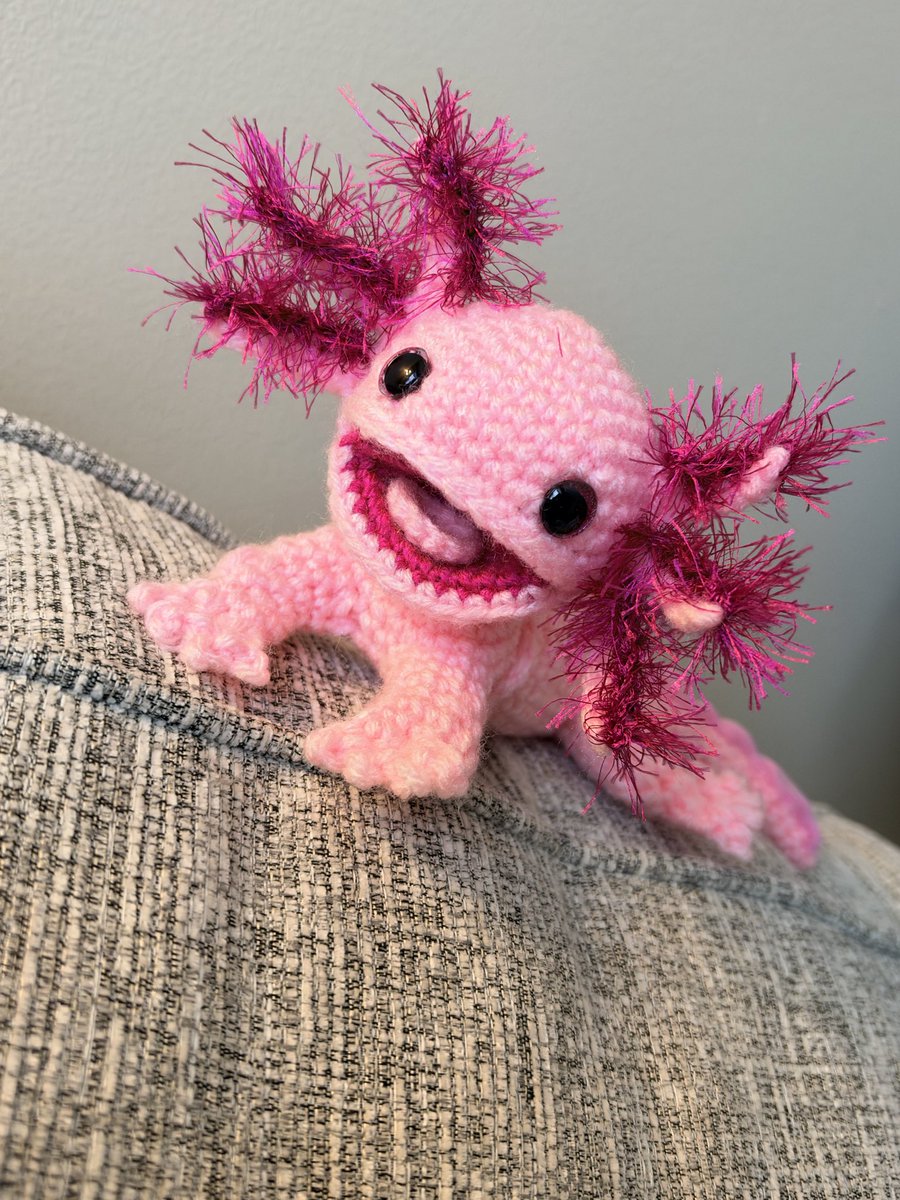 PalliativeCRNP's tweet photo. I asked Brielle what her favorite animal was, fully expecting something a little more… familiar. 😂 (hoping for a cat maybe) 

Her answer: axolotl.

Which meant I first had to Google what an axolotl even was. A little peculiar? Absolutely. But okay, girl - I respect it.

Then it was Etsy to the rescue for a crochet pattern, and from there:

Challenge accepted. 🩷🧶

Now she has her very own handmade axolotl. Weird little favorite animal and all.