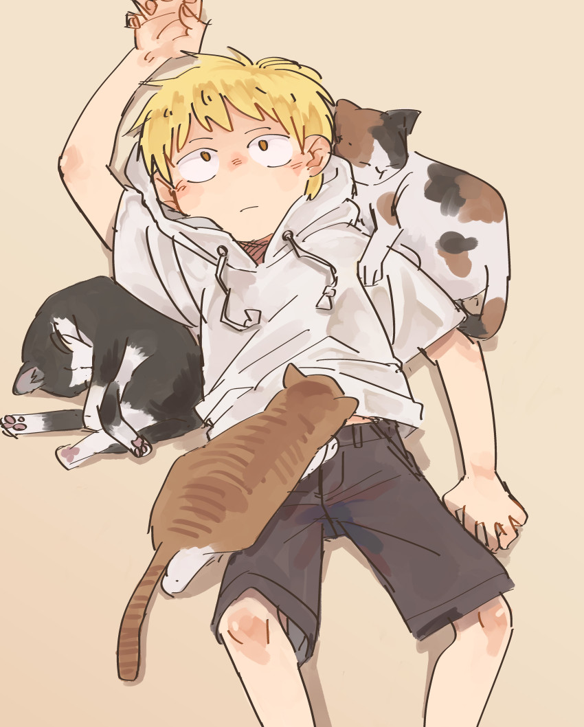 hakono_mikan's tweet photo. 猫と少年 #猫とかのやつ https://t.co/n3F4Gwuh8p
