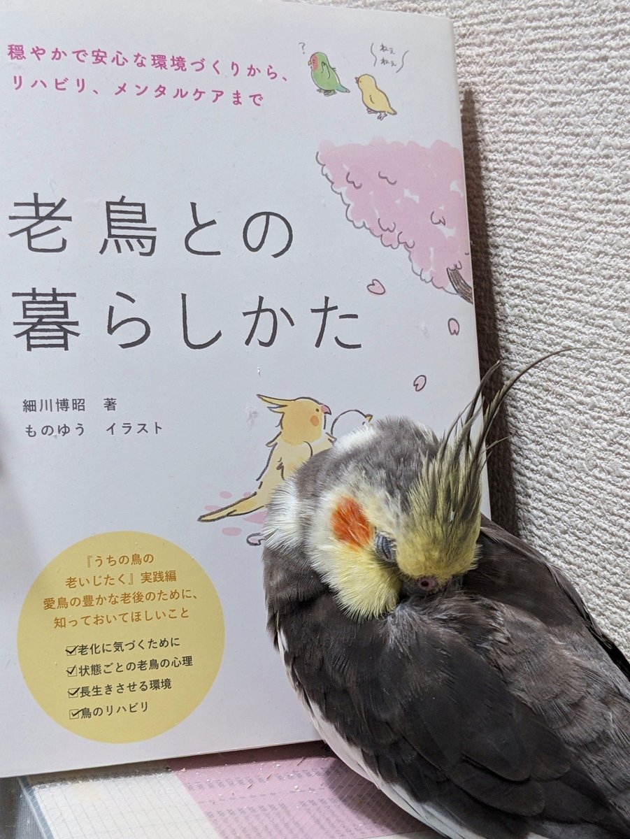 Dpicucci's tweet photo. 感動したり嬉しくて流す涙はいいもんだなぁ😭✨️
辛くて、悲しくて、ショックで流す涙は流したくない。 https://t.co/ZG6b351pHt