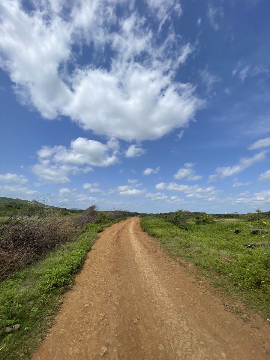 mansebanjaran's tweet photo. Today I walked 13 km and saw sheep https://t.co/XsnWoe3lt5