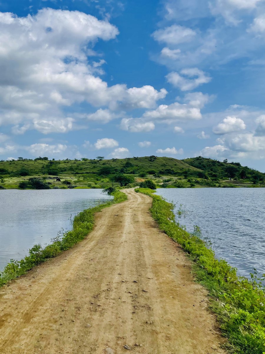 mansebanjaran's tweet photo. Today I walked 13 km and saw sheep https://t.co/XsnWoe3lt5